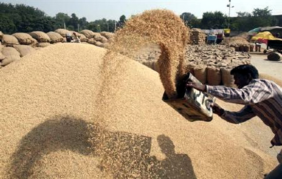 A labourer removes dust from paddy at a grain market in Chandigarh.