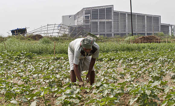 A farmer works a crop next to the closed Tata Motors Nano car factory in Singur, north of Kolkata.
