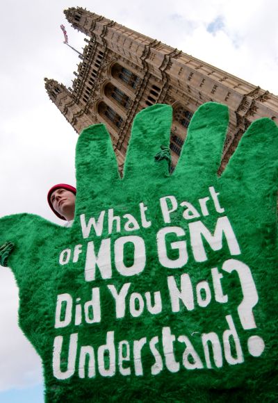 A protestor from pressure group Green Gloves demonstrates against genetically modified (GM) food.