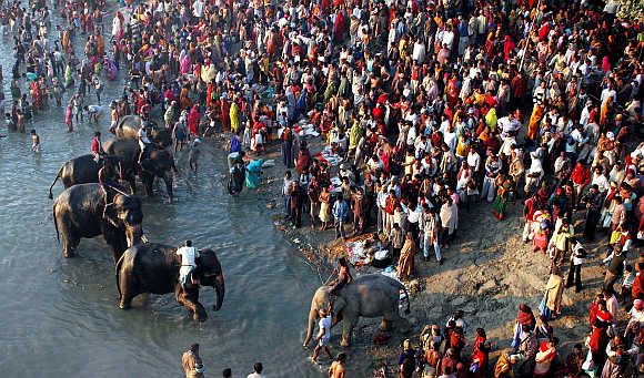 Devotees take a dip in river Gandak during a cattle fair in Sonepur near Patna.