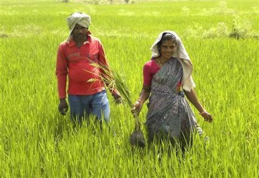 How Chhattisgarh transformed its corrupt ration shops