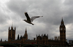 No final decision taken on visa bond: UK. Photograph: Reuters