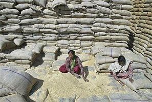 Food Security Bill faces fresh challenge. PhotSharma/reutersMunish 