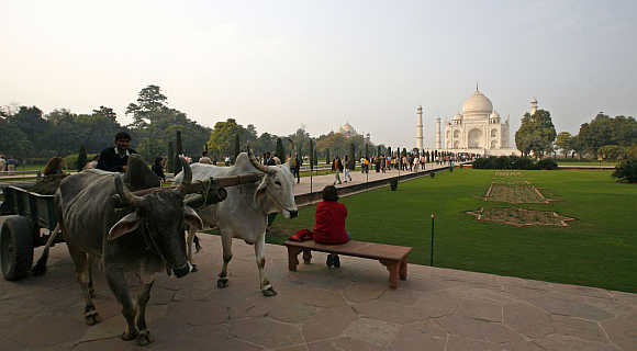 A bullock cart in front of the Taj Mahal in Agra.
