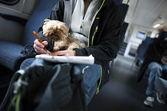 A woman holds a dog on her lap on a train near Geneva.