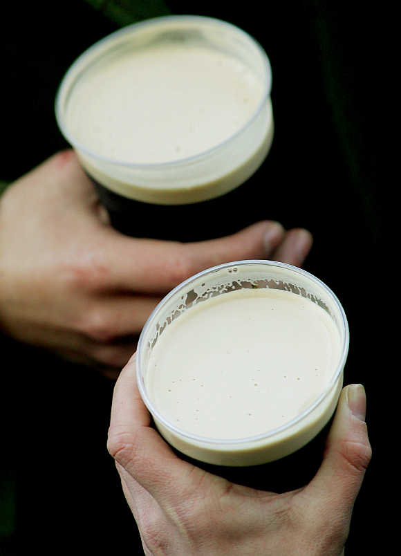 Racegoers hold pints of Guinness on St Patrick's Day on the third day of the Cheltenham National Hunt Festival meeting in Gloucestershire, central England.