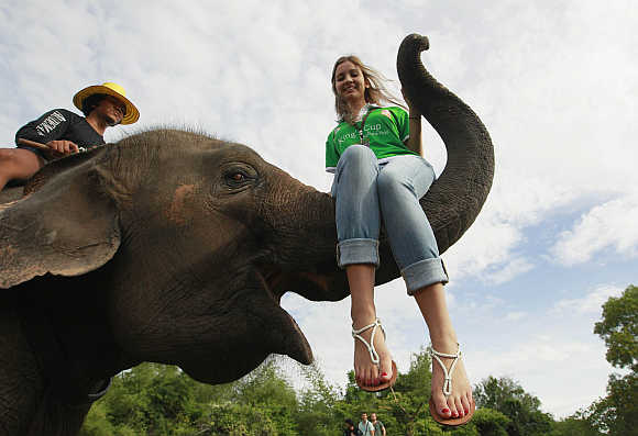 A tourist sits on an elephant's trunk during the opening of the King's Cup Elephant Polo Tournament in the resort town of Hua-Hin, some 160km south of Bangkok, Thailand.