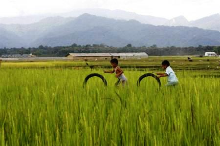 Children play with rubber tyres in a paddy field on the outskirts of Siliguri.