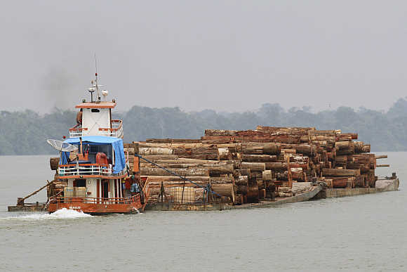 Logs cut from the Amazon rainforest are transported by barge to a shipping port, just off Marajo Island near the mouth of the Amazon River, in Brazil.