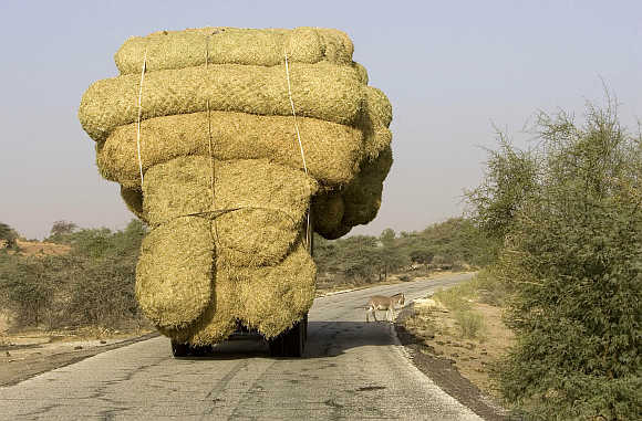 Amazing images reveal the overloaded world