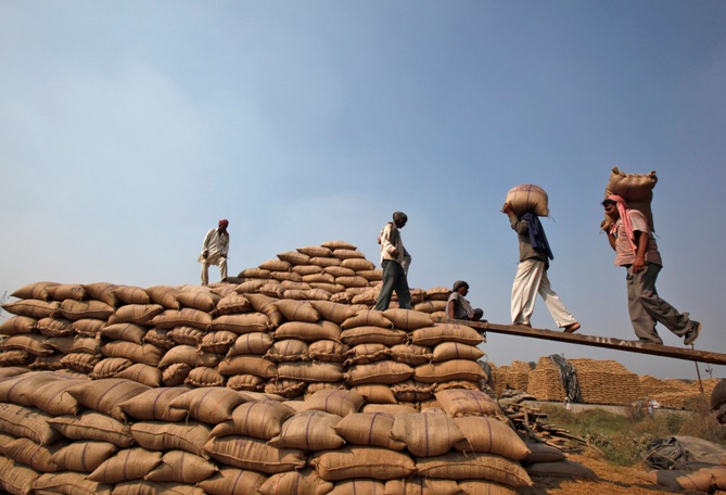 Labourers shift sacks filled with paddy crop at a wholesale grain market in Chandigarh.