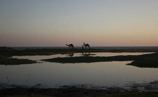 Men walk with camels during sunset by the sea in Karachi, Pakistan.