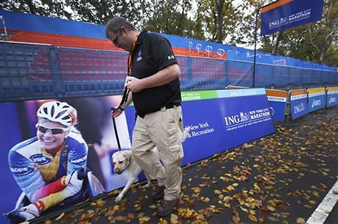 TCS paying top dollar for the New York marathon