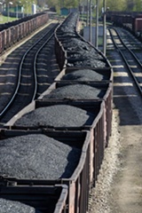 Coal