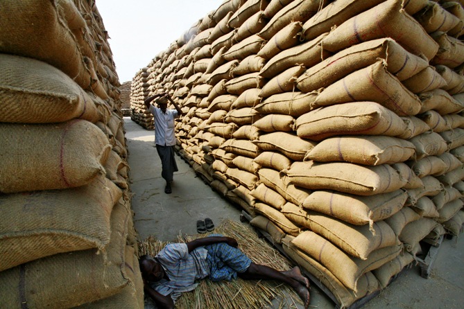 A labourer rests next to stacked sacks of paddy crop at a wholesale grain market in Chandigarh.