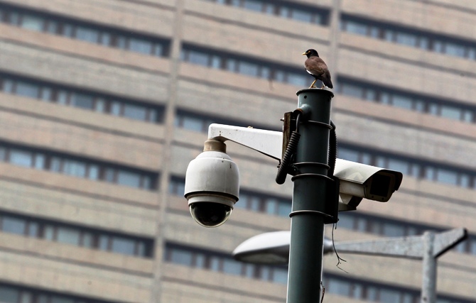 A bird sits atop a closed-circuit television camera pole at a traffic intersection in New Delhi.