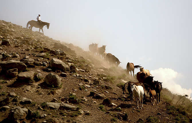 A herdsman leads his horses home in the mountains of Kyrgyzstan, about 40km north of the capital Bishkek.