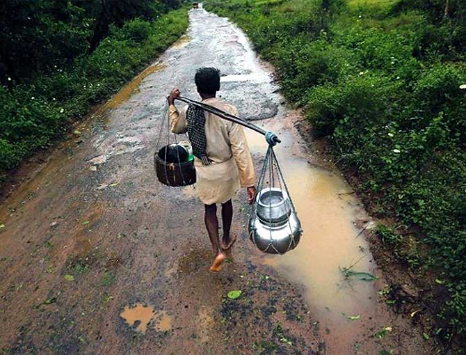 Odisha loses Rs 2,300 crore worth of crops to Phailin