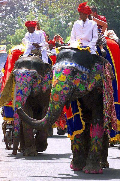 Decorated elephants walk on a street during the Elephant Festival in Jaipur