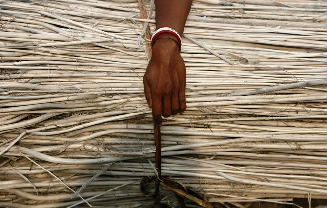 A farmer carries a bundle of jute in Singur.