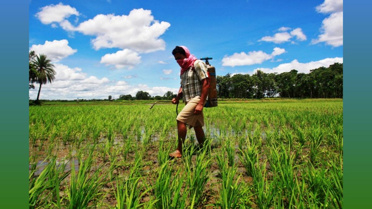 First State Bus in Naxal-Hit Maharashtra Village