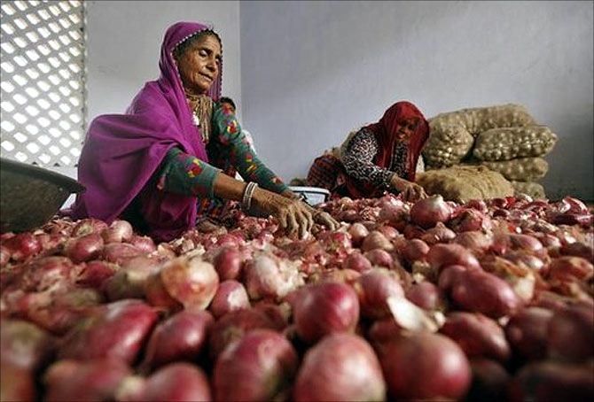 A website offers onions at Rs 9 per kilo! 
