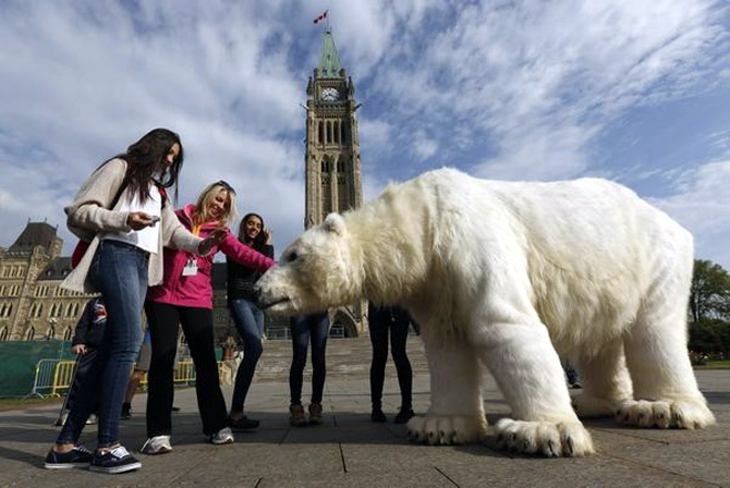 Students on a tour look at Greenpeace activists dressed in a polar bear costume during a demonstration, on Parliament Hill in Ottawa.