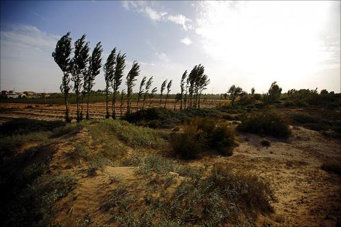 Desert is seen near a farming field on the outskirts of Minqin, Gansu province.