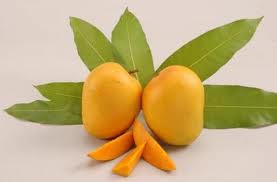 Alphonso mangoes