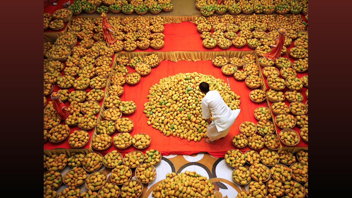 Karnataka Seeks Lifting of Andhra Mango Ban