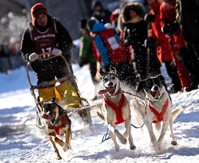 Jerome Poulin competes during the Grande Viree dog sled race in the streets of the Old Quebec at the Quebec Winter Carnival in Quebec City.
