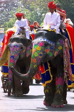 Decorated elephants walk on a street during the Elephant Festival in Jaipur.