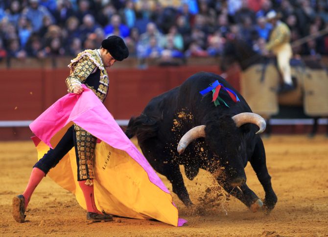 Spanish matador Julian Lopez El Juli performs a pass to a bull during a bullfight at The Maestranza bullring in the Andalusian capital of Seville, southern Spain.