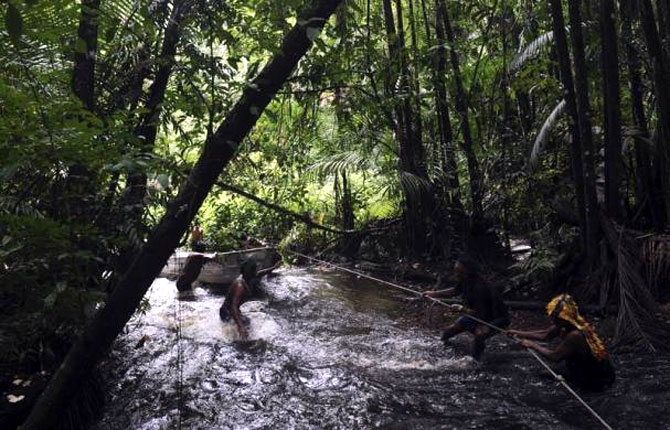 Munduruku Indian warriors navigate the Caburua river, a tributary of the Tapajos and Amazon rivers.