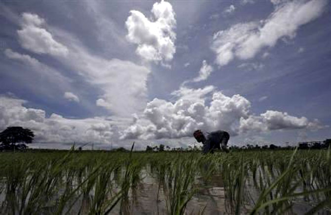 A farmer works in his paddy field against the backdrop of monsoon clouds in Agartala.
