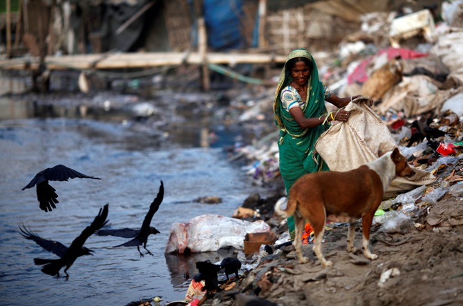 A woman collects garbages from a dump yard near a tannery at Hazaribagh along the polluted Buriganga river in Dhaka.