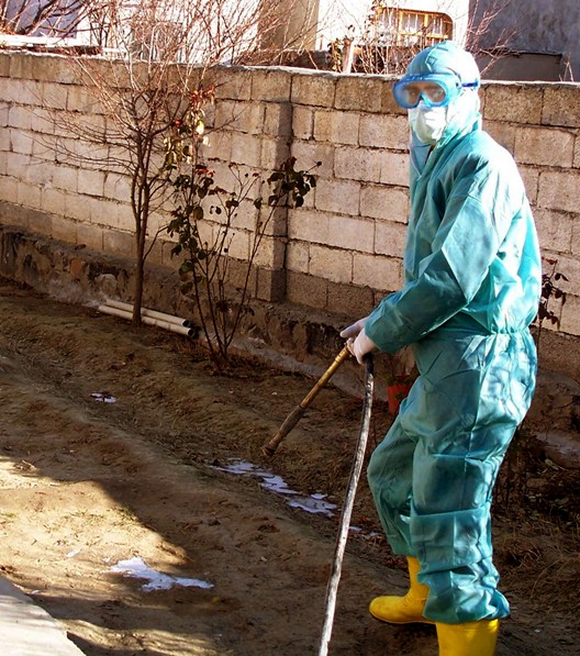 A veterinary worker disinfects the gardens of the local people in Igdir, a Turkish town near Turkey's far eastern border with Armenia