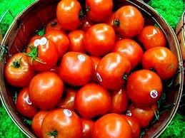 Tomatoes