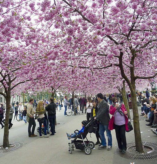 People stroll in a Stockholm park.