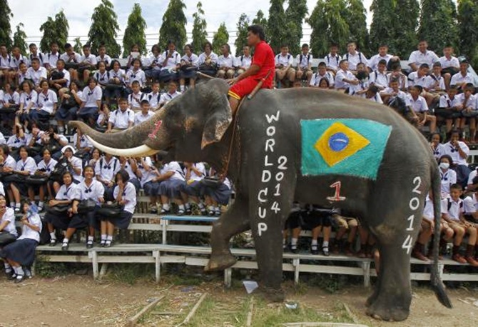 An elephant walks near Thai students at a school in Thailand's Ayutthaya province.
