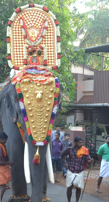 An elephant carried the idol of the deity during a temple festival in Thrissur.