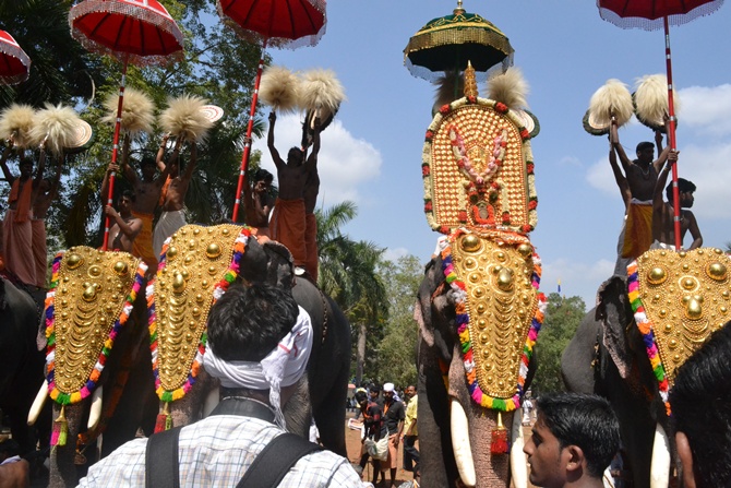 Many elephants turn violent during the temple festival season.