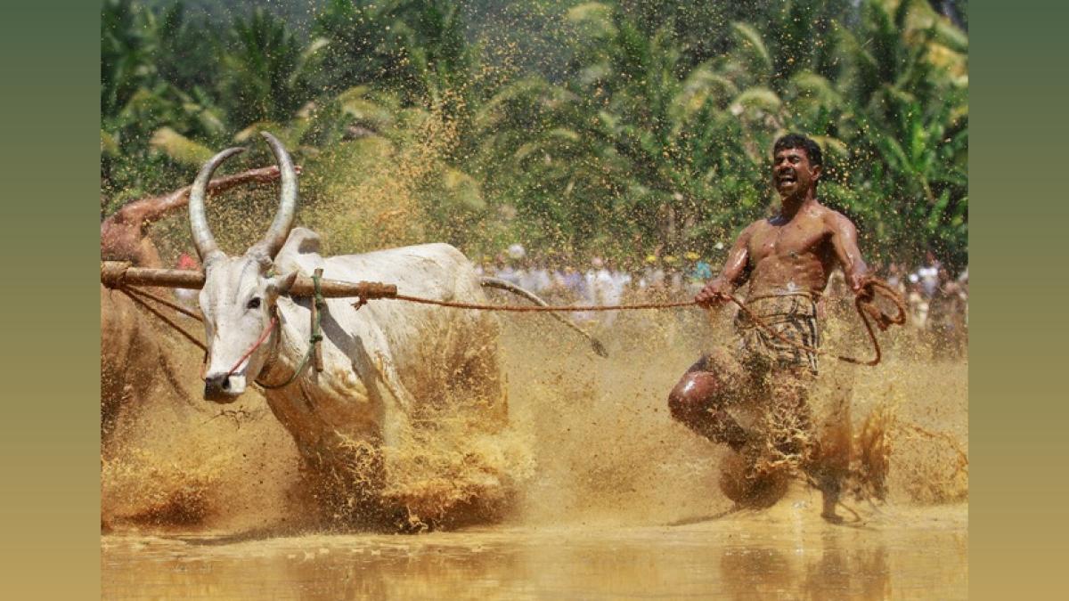 Bihar Farmers Get Union Support for Agri Growth