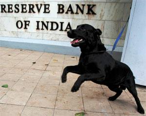 Photograph: Vivek Prakash/Reuters