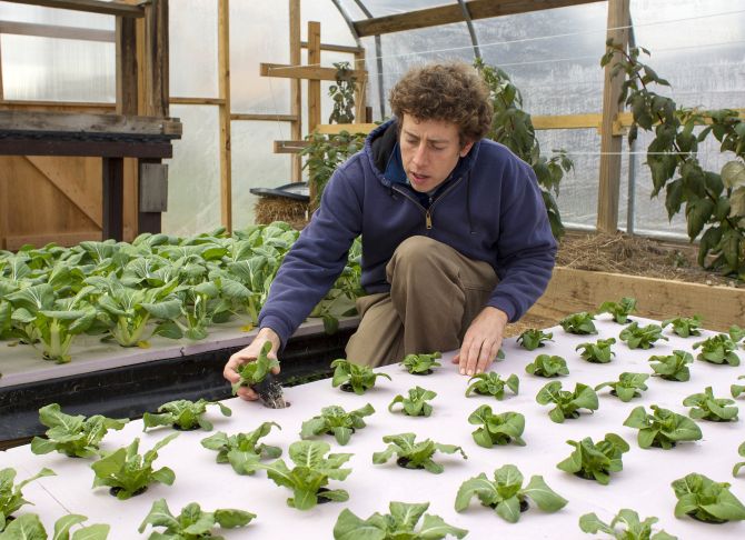Chester County Food Bank agricultural director Bill Shick examines young lettuce plants growing in a hydroponic bed in a greenhouse,