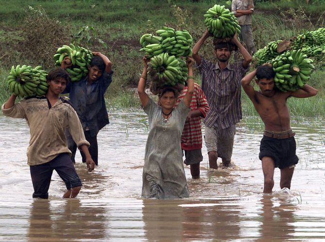 Indian tribal labourers carry bananas through a flooded road in Varsali village 250 km (156 miles) south of the western Indian city of Ahmedabad.