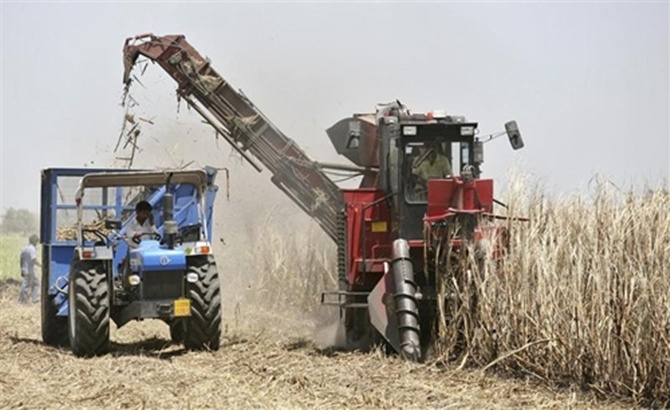 A harvesting machine works in a sugarcane field at Olpad village.