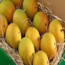 Mangoes