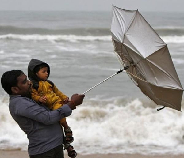 Life insurers expect robust growth in FY15