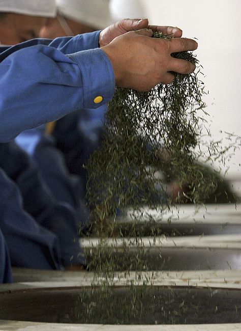 Workers stir tea leaves in heated pots at a tea factory.